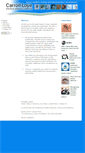 Mobile Screenshot of carroll-loye.com